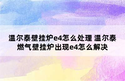 温尔泰壁挂炉e4怎么处理 温尔泰燃气壁挂炉出现e4怎么解决